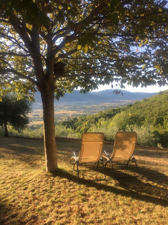Casale Degli Ulivi Villa Gualdo Tadino Bagian luar foto